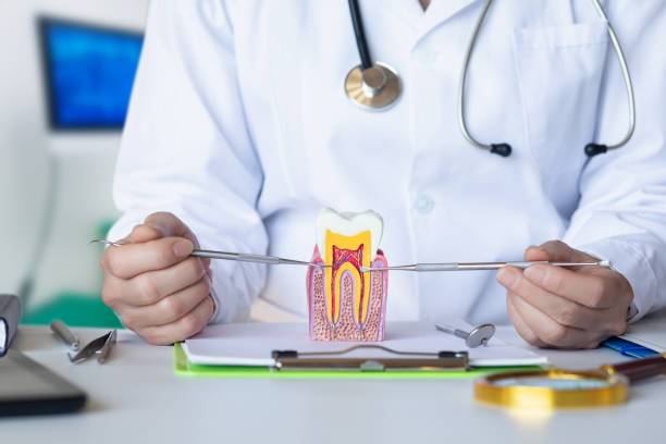 Best Emergency Dentist for Lost Fillings or Crowns in Seward, AK